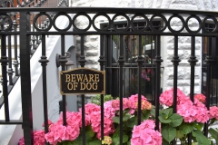 Beware-Of-Dog-Fence